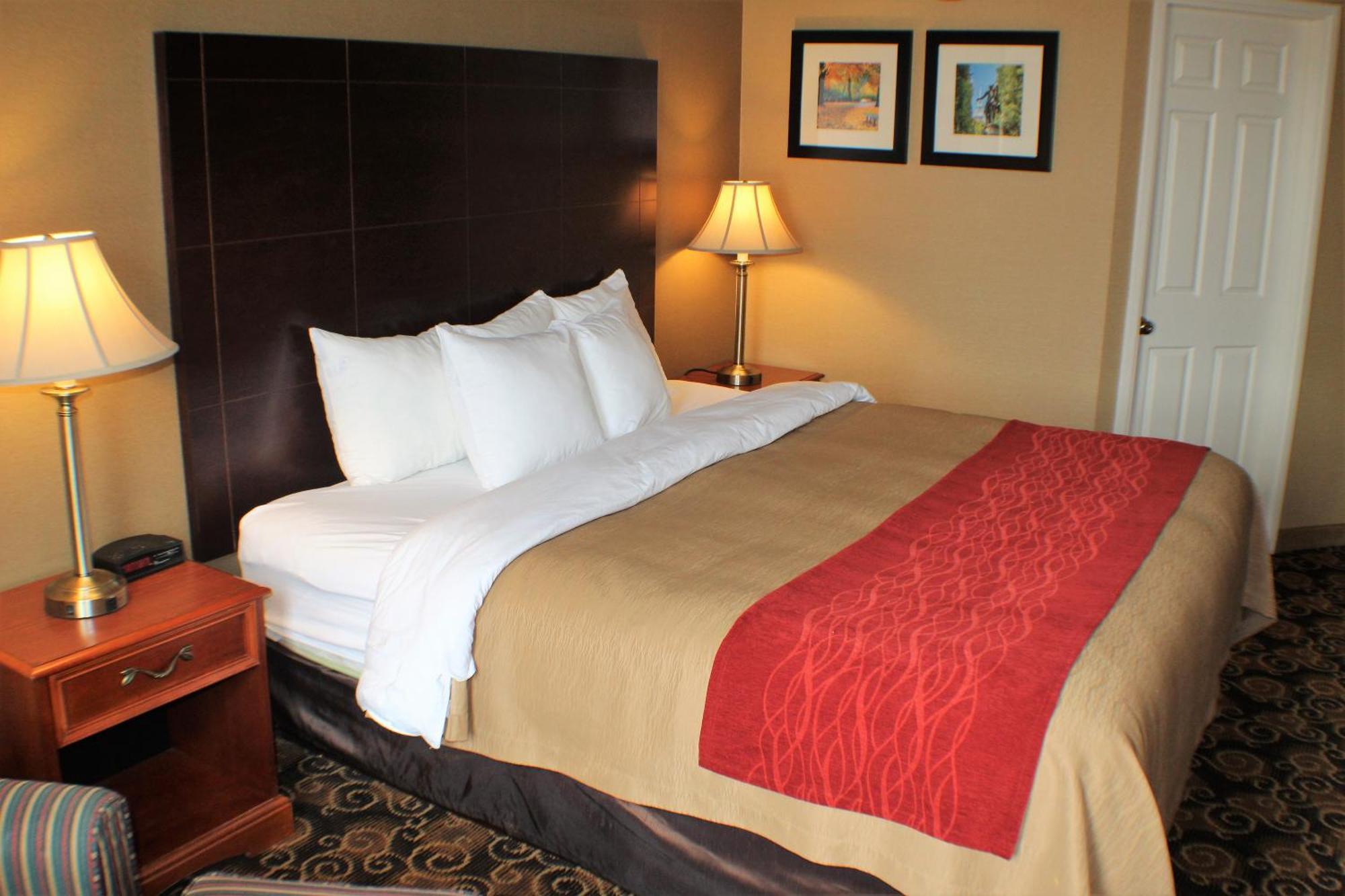 Comfort Inn Rockland - Boston Eksteriør bilde
